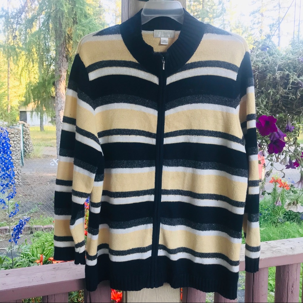 CJ Banks striped size3 sweater with zipper